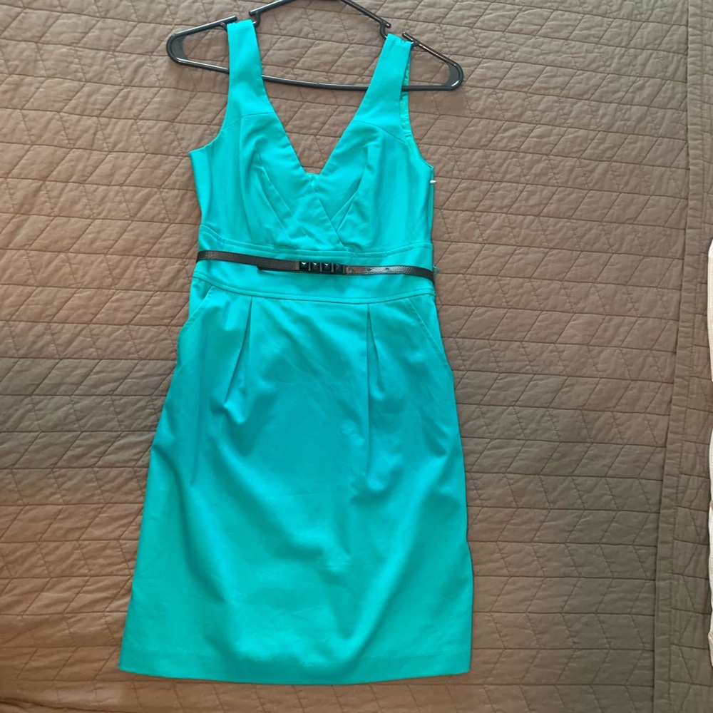 NWT Express knee length dress
